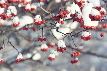 Similar image 10508775