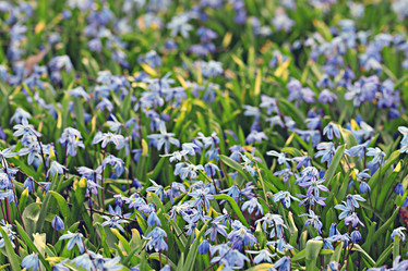 Similar image 10508776