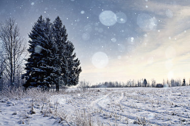 Similar image 10508790