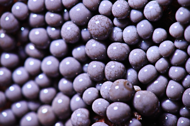 Similar image 10508789