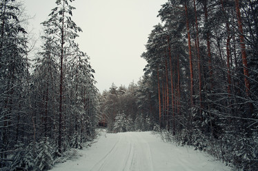 Similar image 10508794