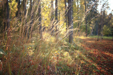 Similar image 10508800