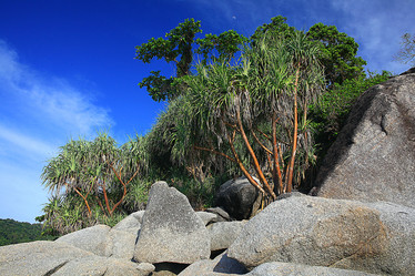 Similar image 10508804