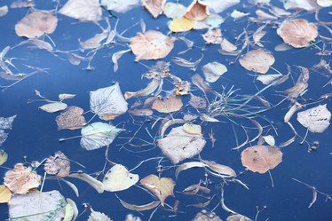 Similar image 10508814