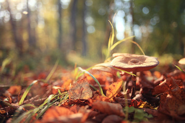 Similar image 10508832