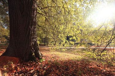 Similar image 10508839