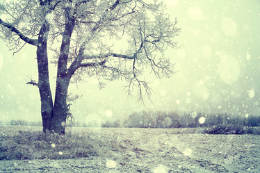 Similar image 10508846