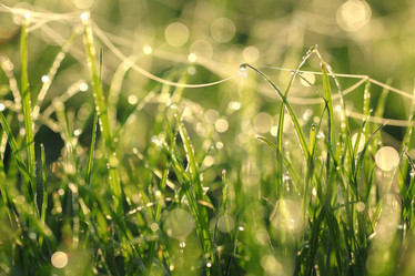 Similar image 10508869