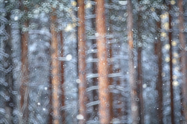 Similar image 10508873