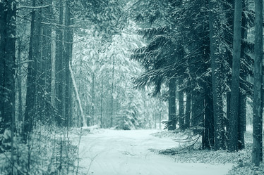 Similar image 10508874