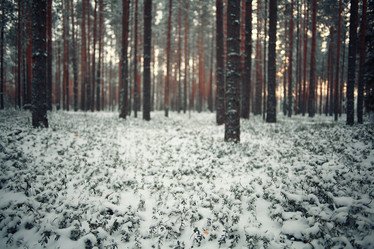 Similar image 10508875