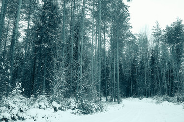 Similar image 10508876