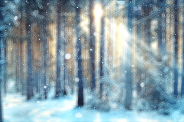 Similar image 10508877