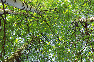 Similar image 10508887