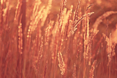 Similar image 10508888