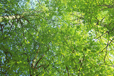 Similar image 10508889