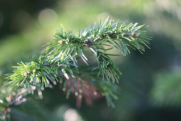 Similar image 10508891