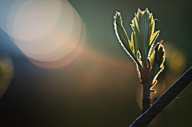 Similar image 10508893