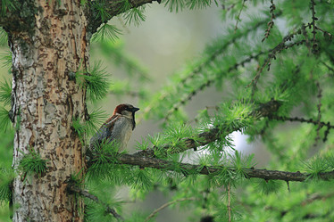 Similar image 10508897