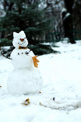 Similar image 10508903