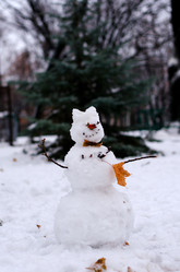 Similar image 10508904