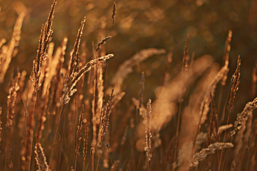 Similar image 10508910