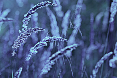 Similar image 10508912