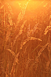 Similar image 10508914