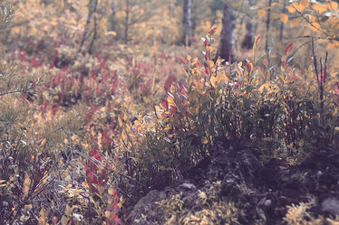 Similar image 10508926