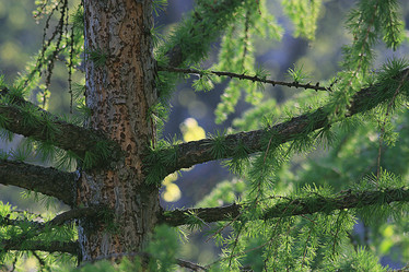 Similar image 10508930