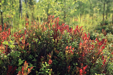 Similar image 10508931