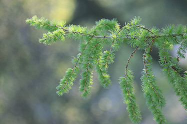 Similar image 10508932