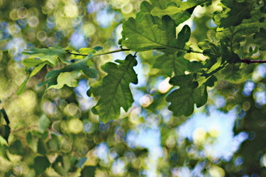 Similar image 10508937