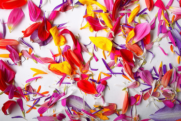 Similar image 10508943