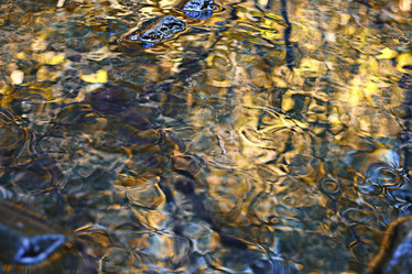 Similar image 10508949