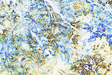 Similar image 10508954