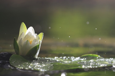 Similar image 10508956