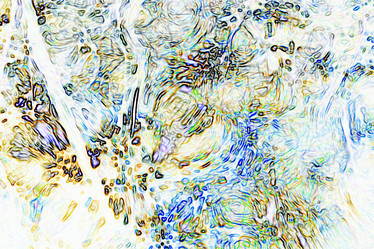 Similar image 10508957