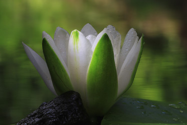 Similar image 10508958