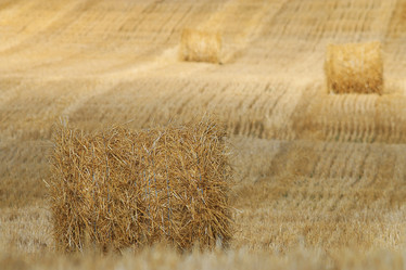 Similar image 10508962