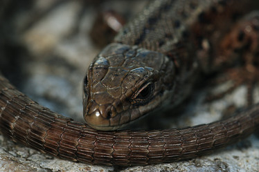 Similar image 10508966