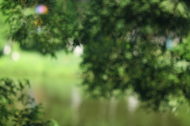 Similar image 10508969