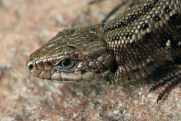 Similar image 10508990