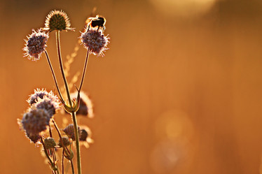 Similar image 10508996