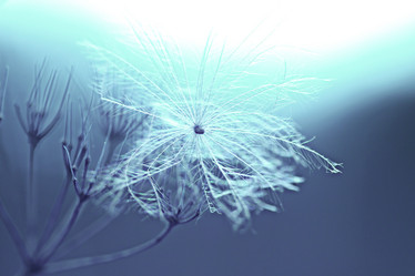 Similar image 10508997