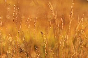 Similar image 10509003