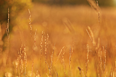 Similar image 10509004