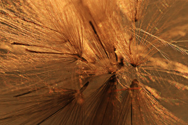 Similar image 10509006