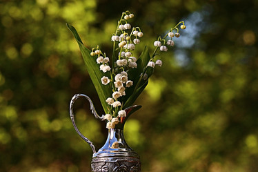 Similar image 10509016