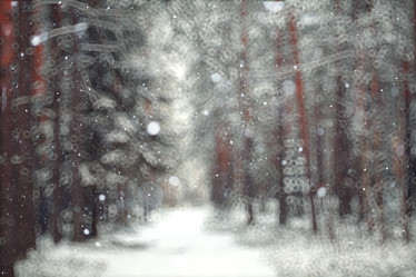 Similar image 10509027